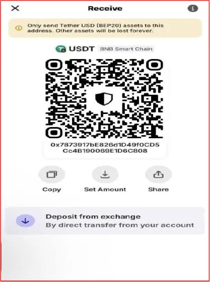 Scanning Dedicated TRON TRC-20 Tether Deposit Address on Binance App